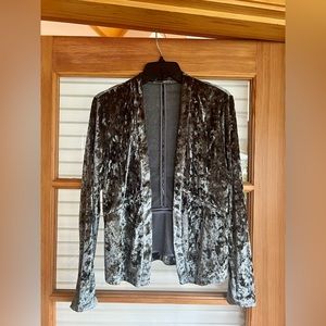 Blue Velvet Blazer, Tart, XS